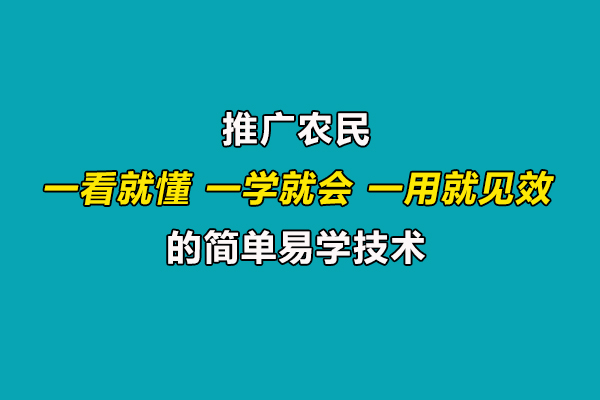 引導(dǎo)農(nóng)民合理施肥用藥,推廣一看就懂、一學(xué)就會(huì)、一用就見效的技術(shù)