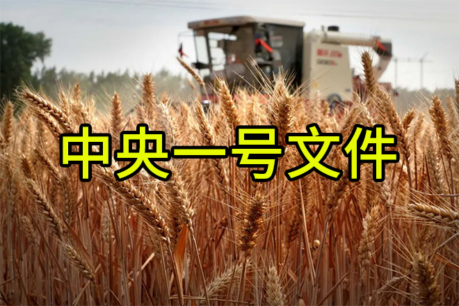 《轉(zhuǎn)發(fā)》老趙說(shuō)農(nóng)資：解讀2024中央一號(hào)文件，肥料生產(chǎn)企業(yè)這樣干